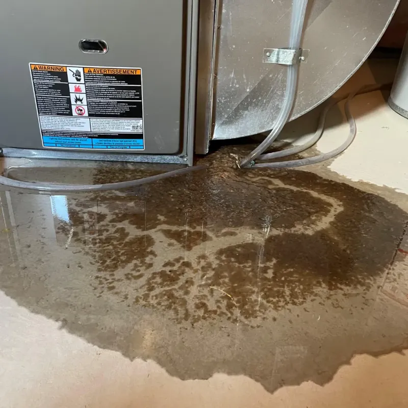 Appliance Leak Cleanup in Brookhaven, WV