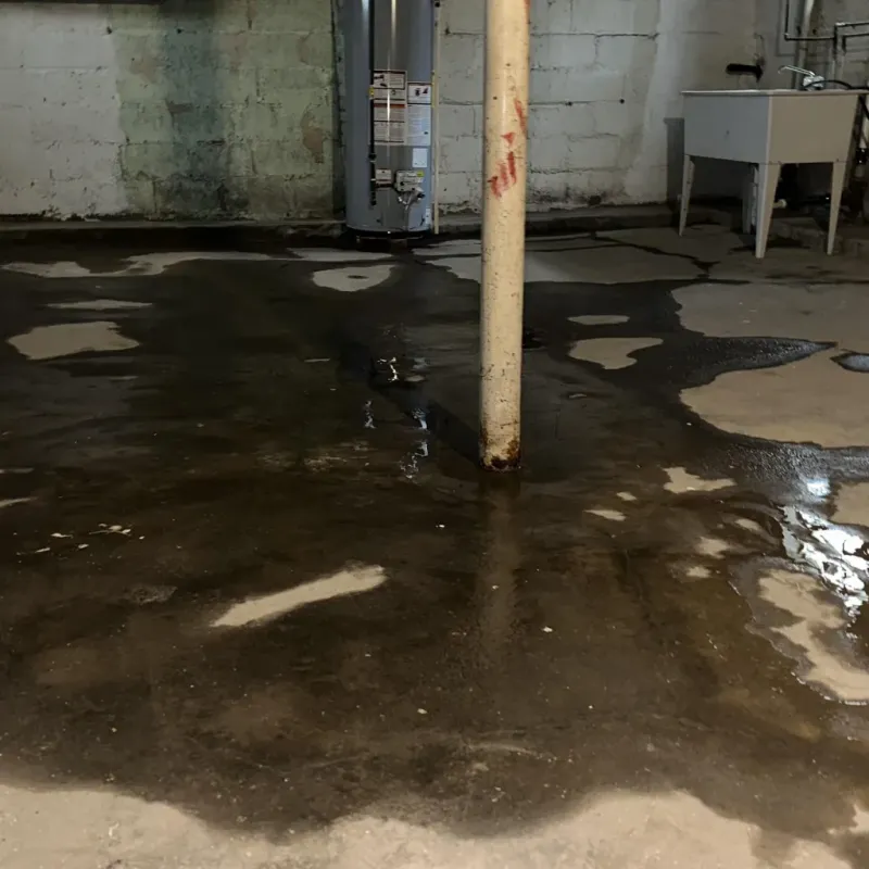 Emergency Water Extraction And Removal in Brookhaven, WV